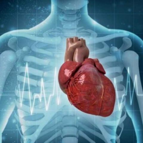الجمعية اللبنانية لأمراض القلب (LSC) تُطلق برنامج وطني لبناني حول مضادات الصفائح الدمويّة 