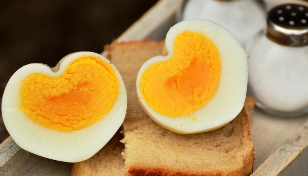 تناول بيضة يومياً يقلل من خطر الإصابة بأمراض القلب
