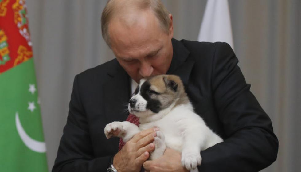 جرو كلب هدية للرئيس الروسي في عيد ميلاده